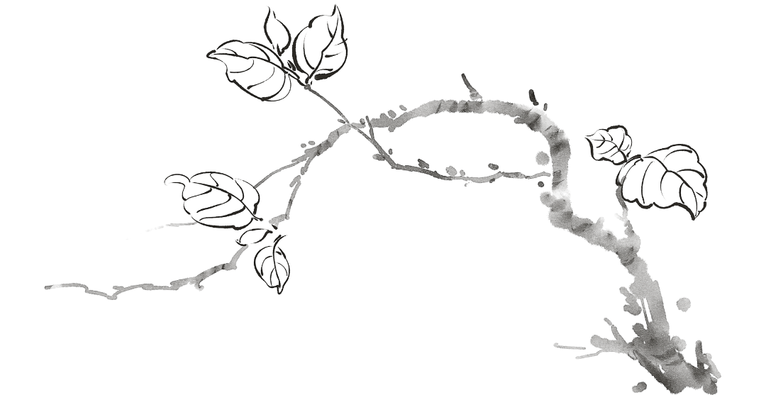 vines and leaves